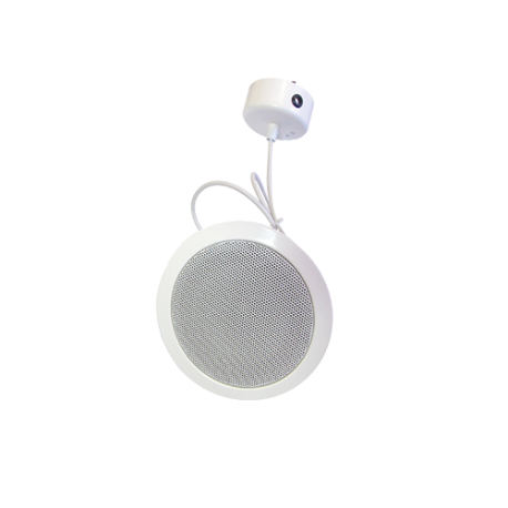 DEL-W 165/10 PP ALTAVOZ SUSPENDIDO DE TECHO 10W 100V SPL 93d