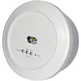 GR-290/M - SPOT SALIDAS P/NP 300Lm 1.5H IP40 OLYMPIA