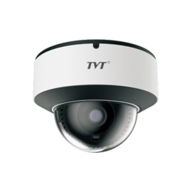 9541S4(D/PE/AR2) DOMO IPC 4MP 2.8mm WDR IR30M IP67 IK10 MIC